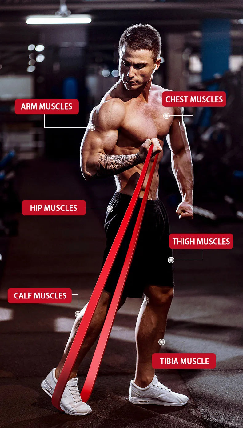 Premium Heavy-Duty Resistance Loop Bands | Pull-Up Assistance & Strength Training Bands
