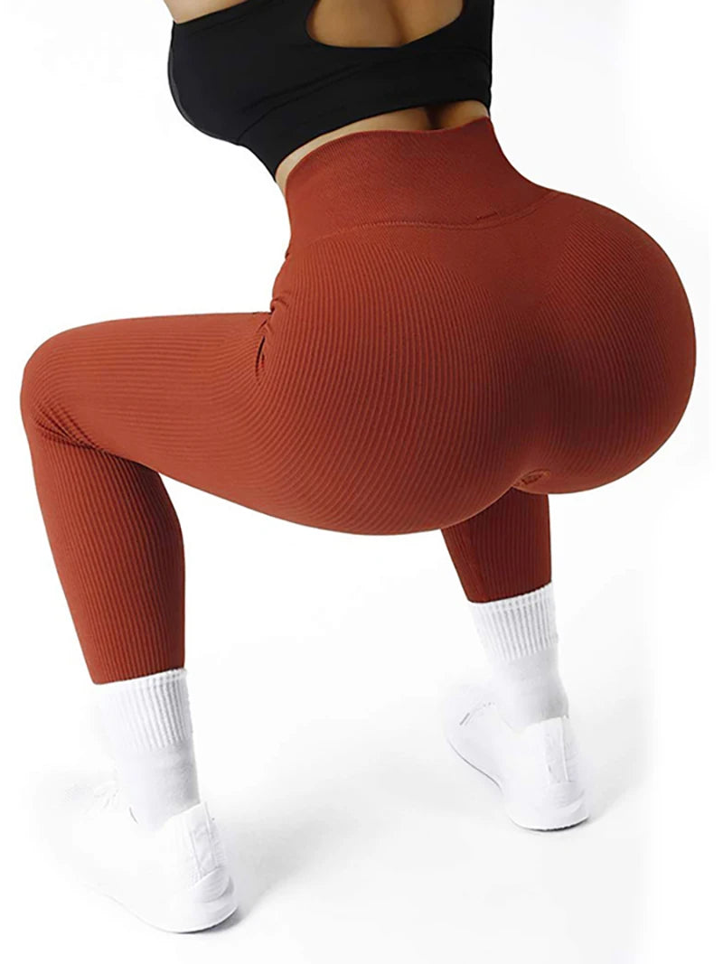 Premium Ribbed Seamless High-Waist Leggings⁠